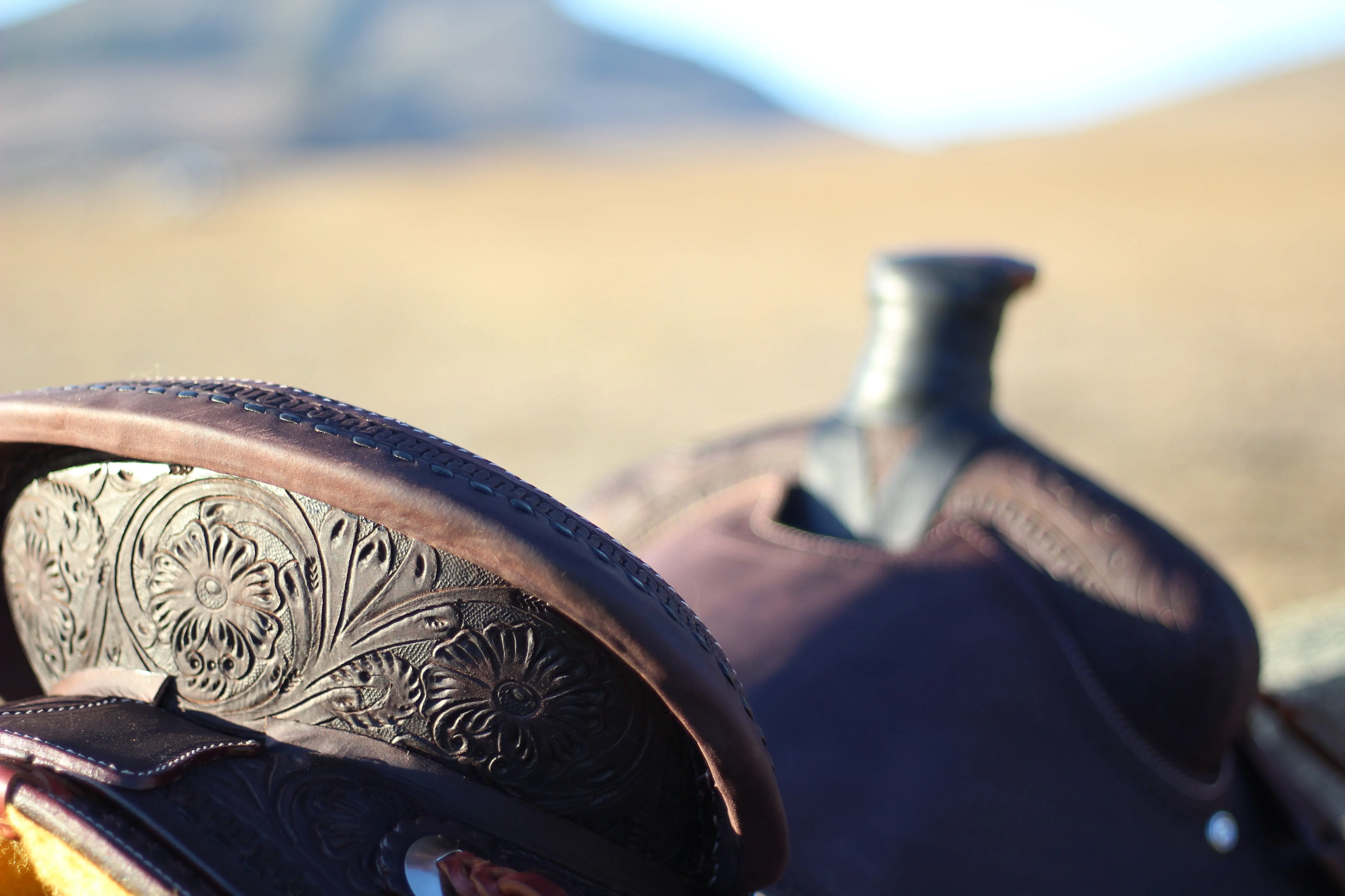13" Cash Saddle