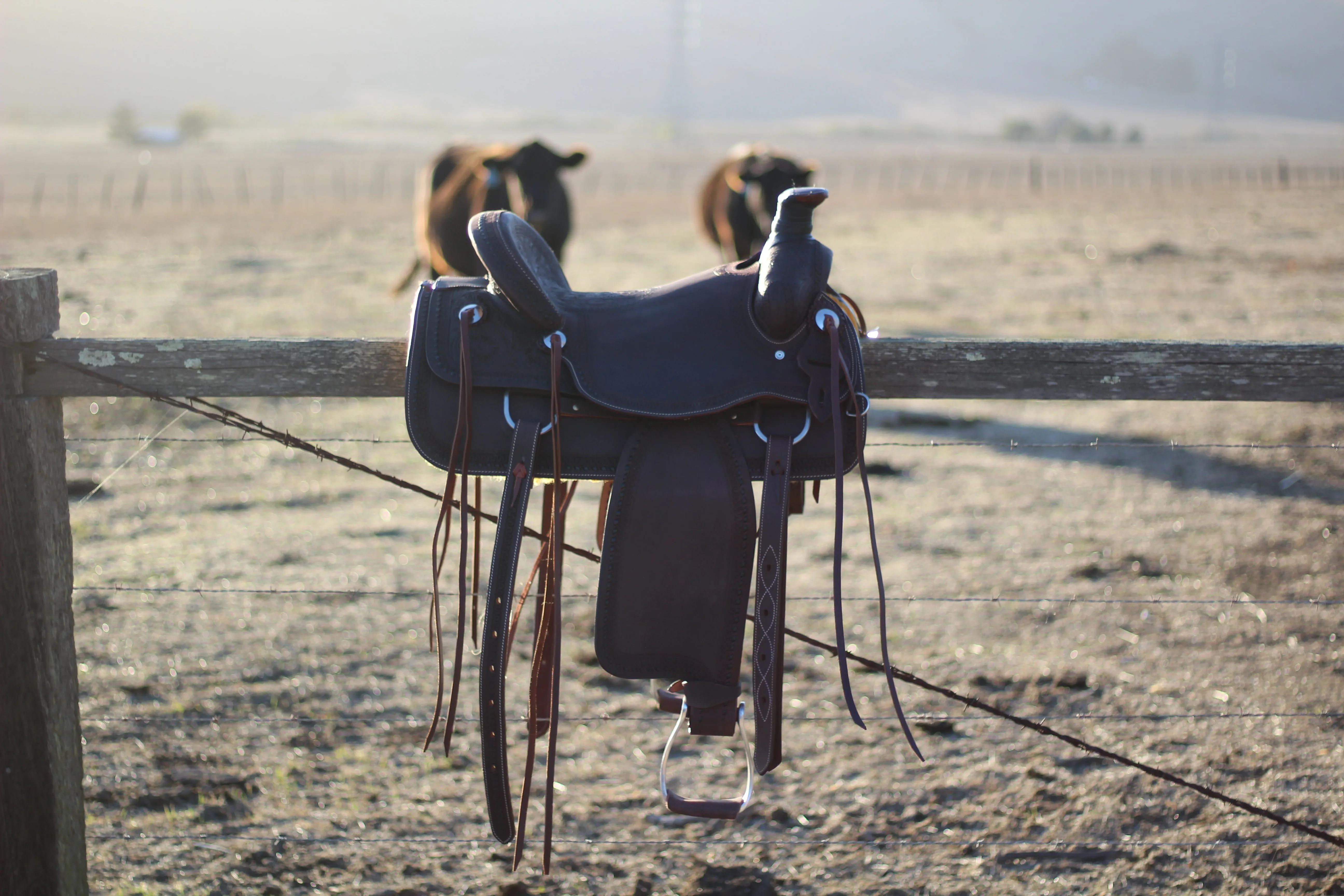 13" Cash Saddle