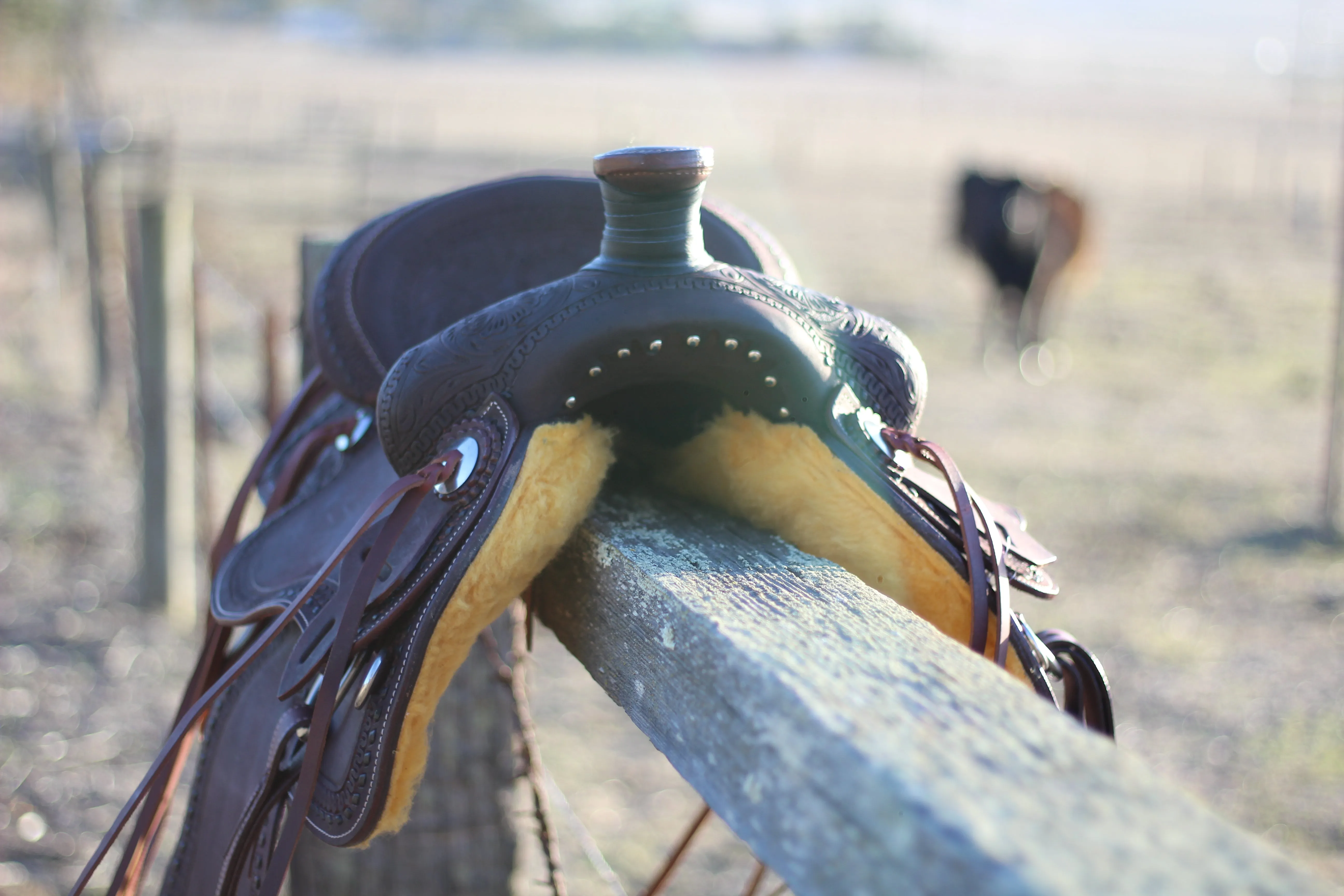 13" Cash Saddle