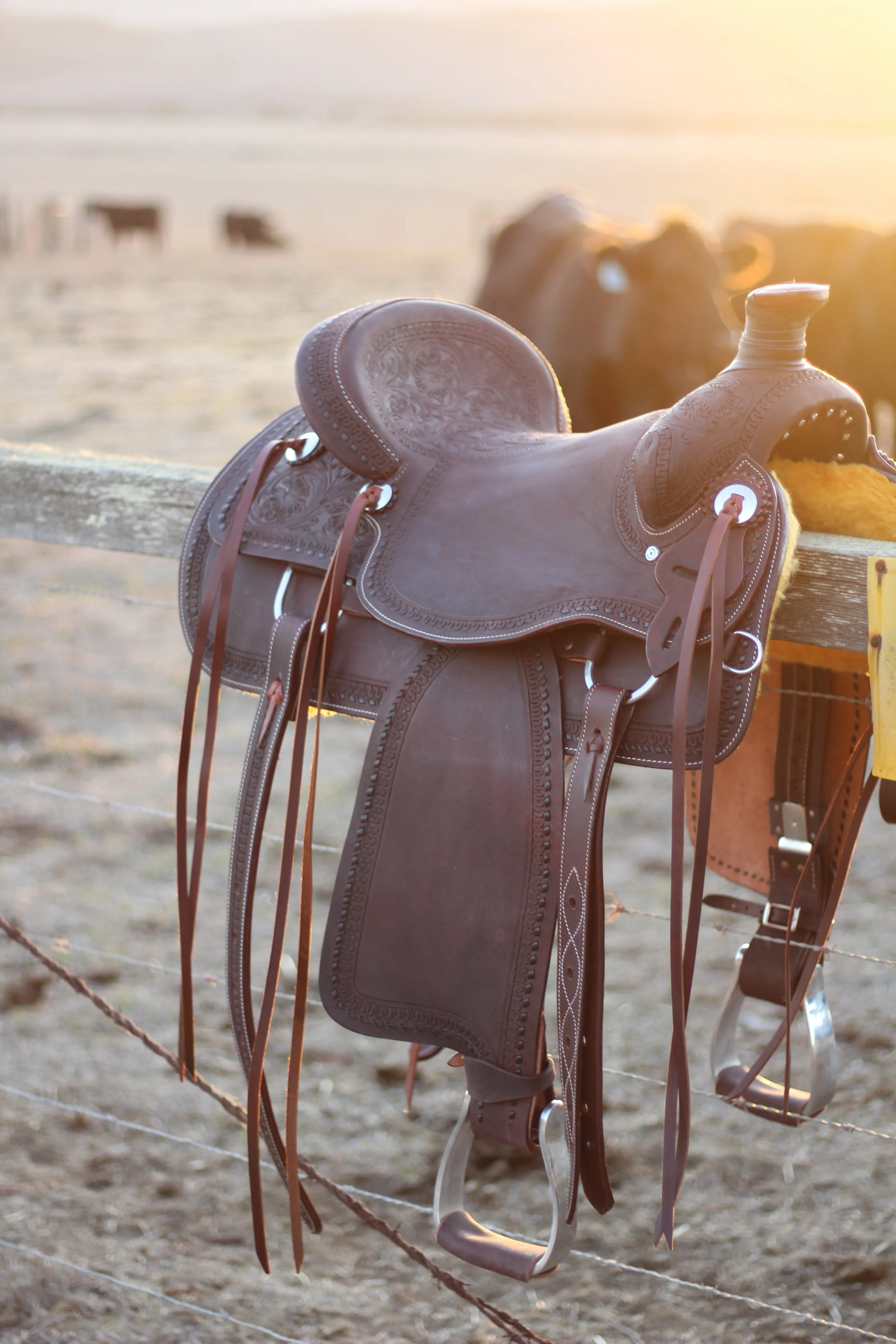13" Cash Saddle