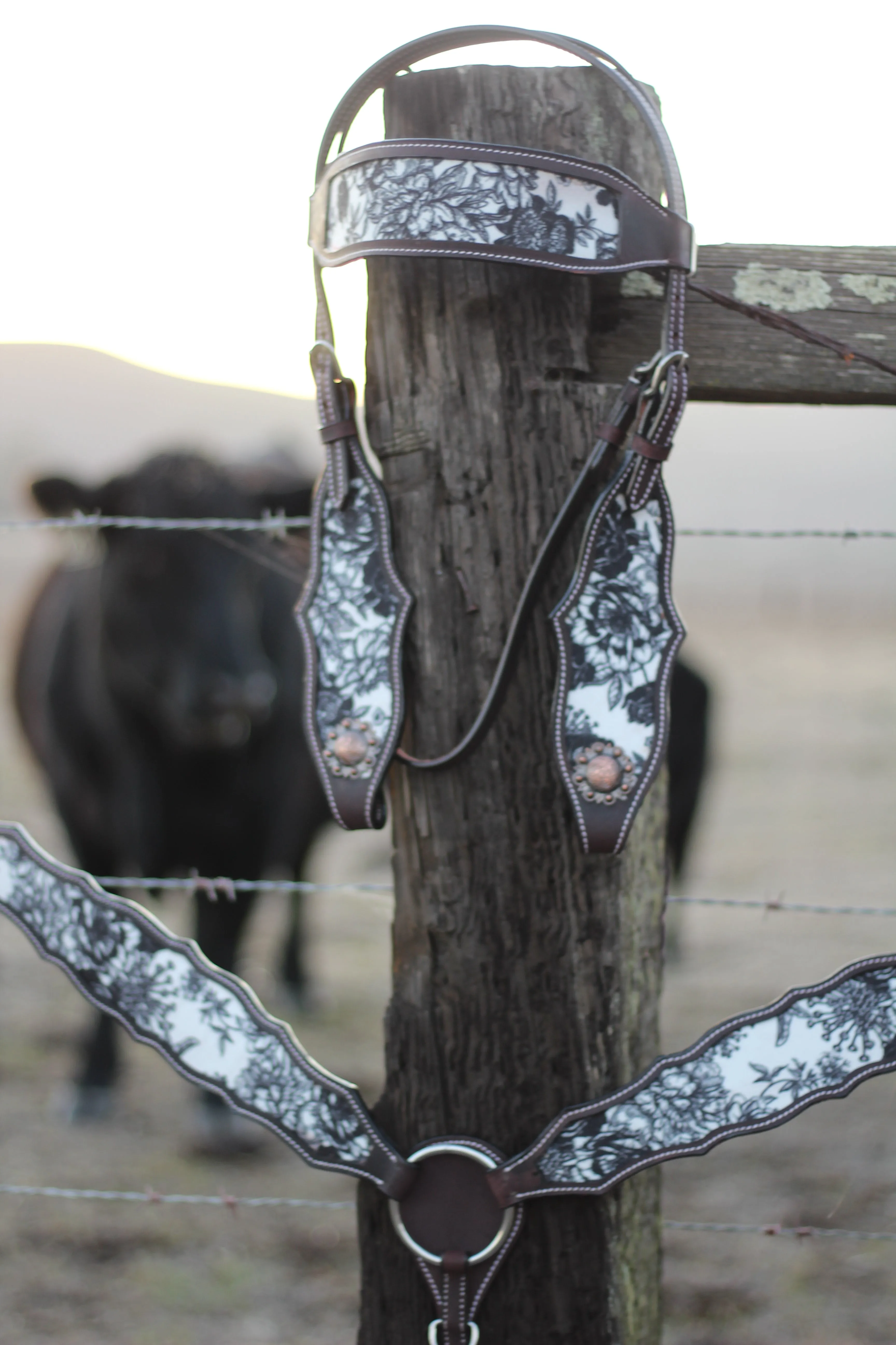 13" Cash Saddle