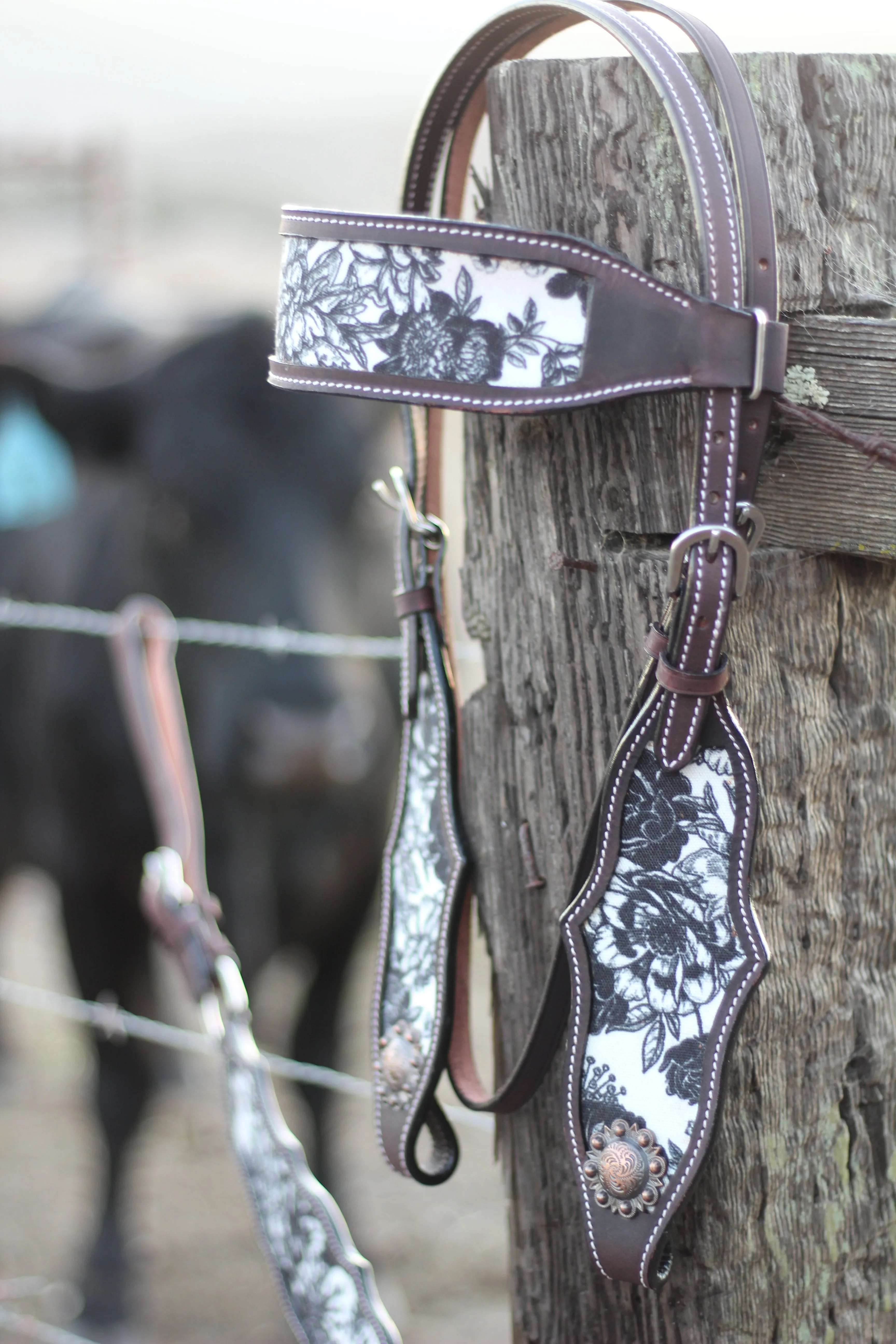 13" Cash Saddle