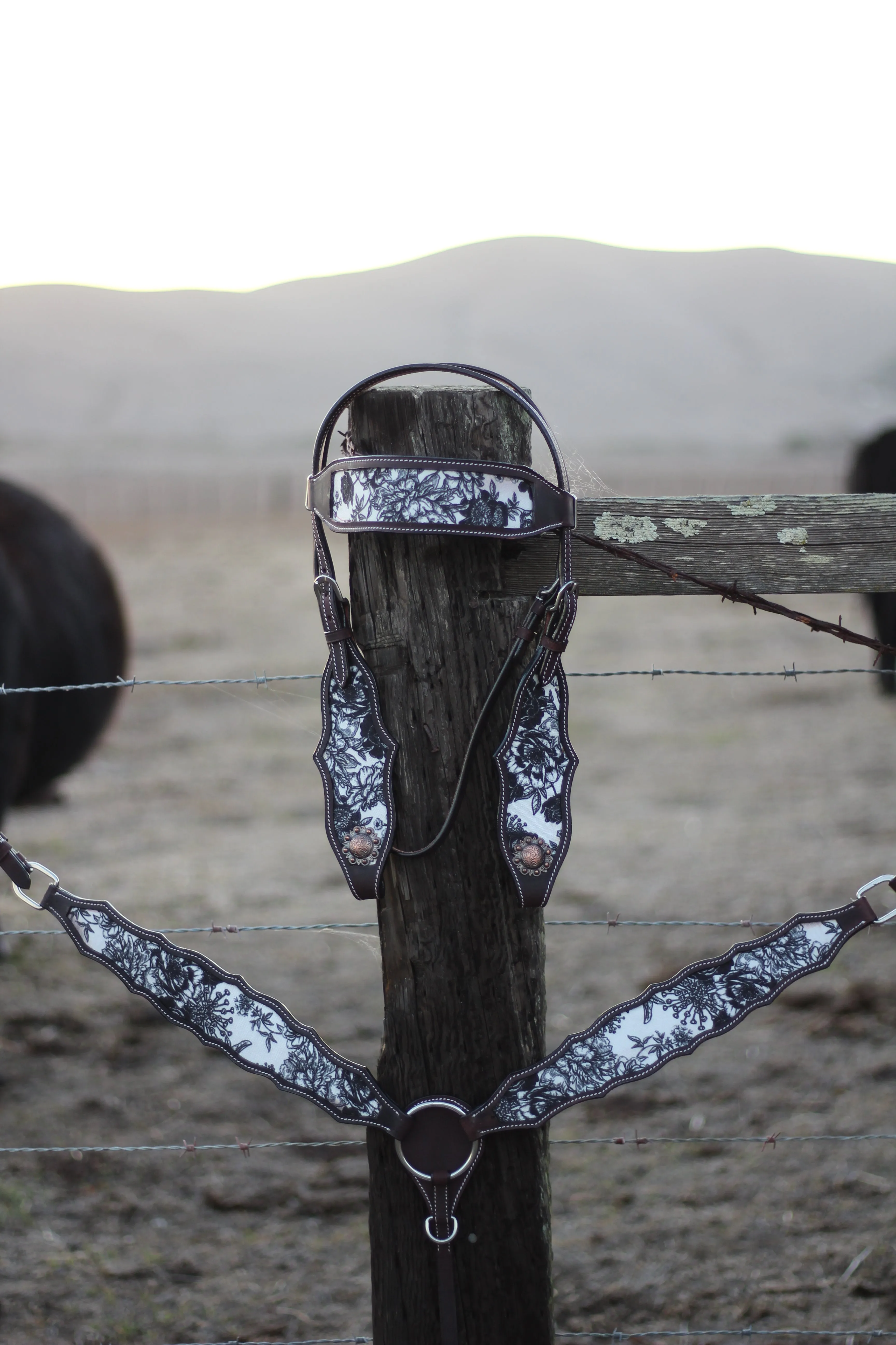 13" Cash Saddle