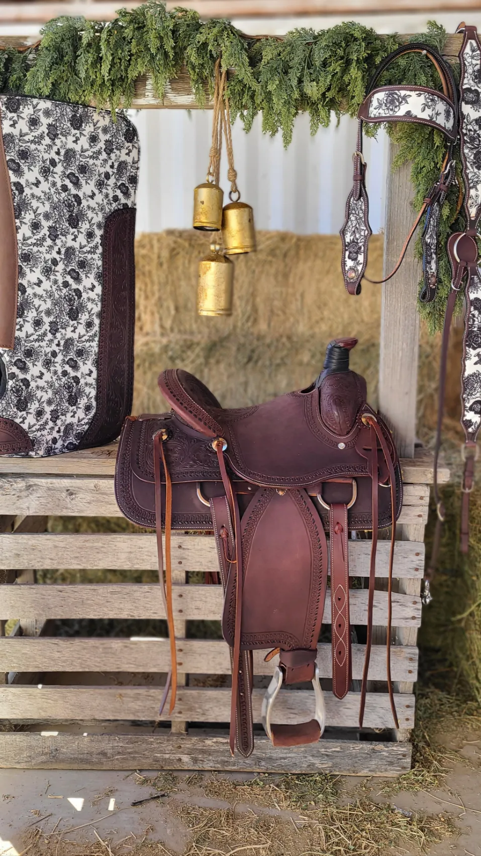 13" Cash Saddle