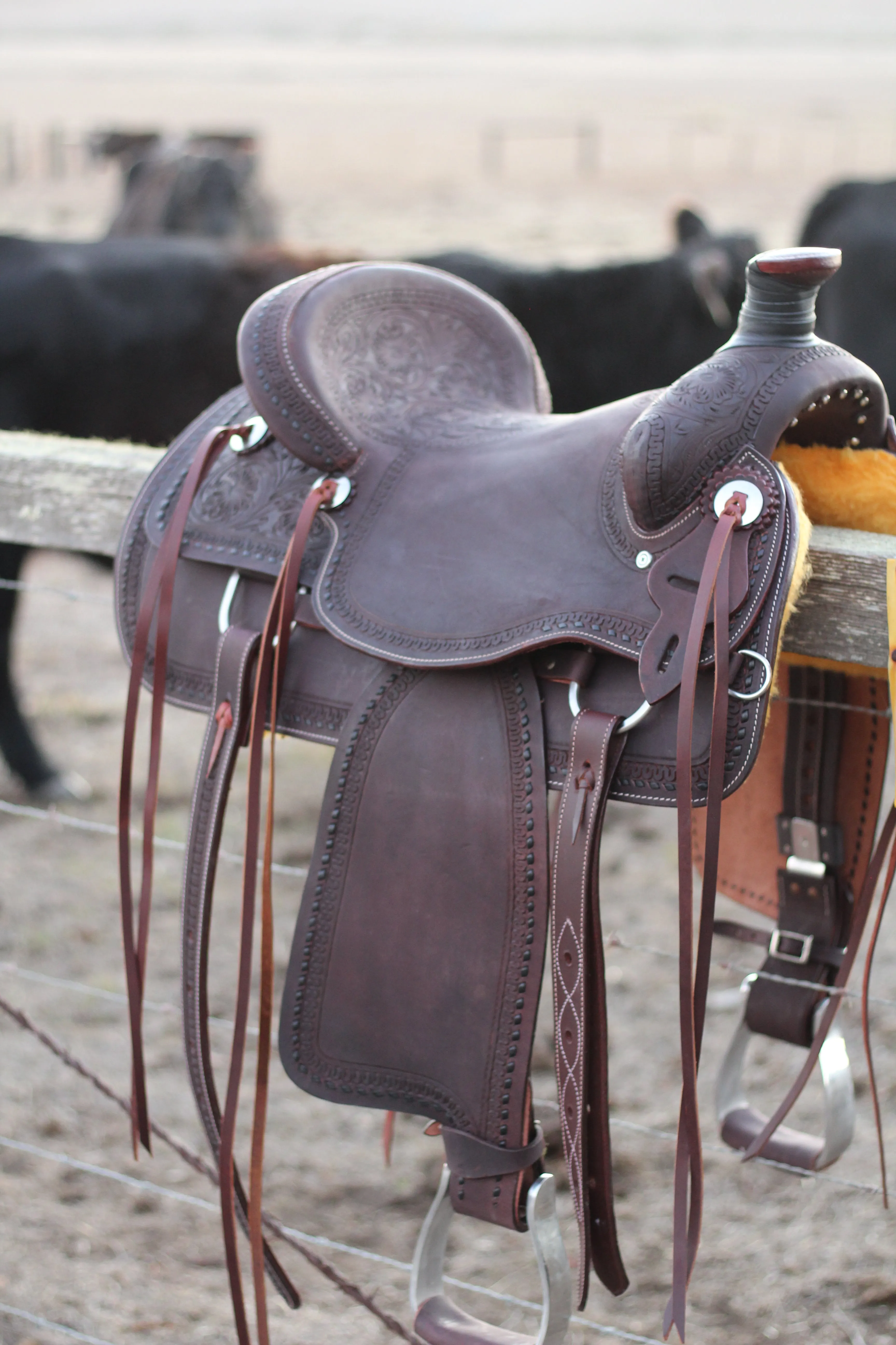 13" Cash Saddle
