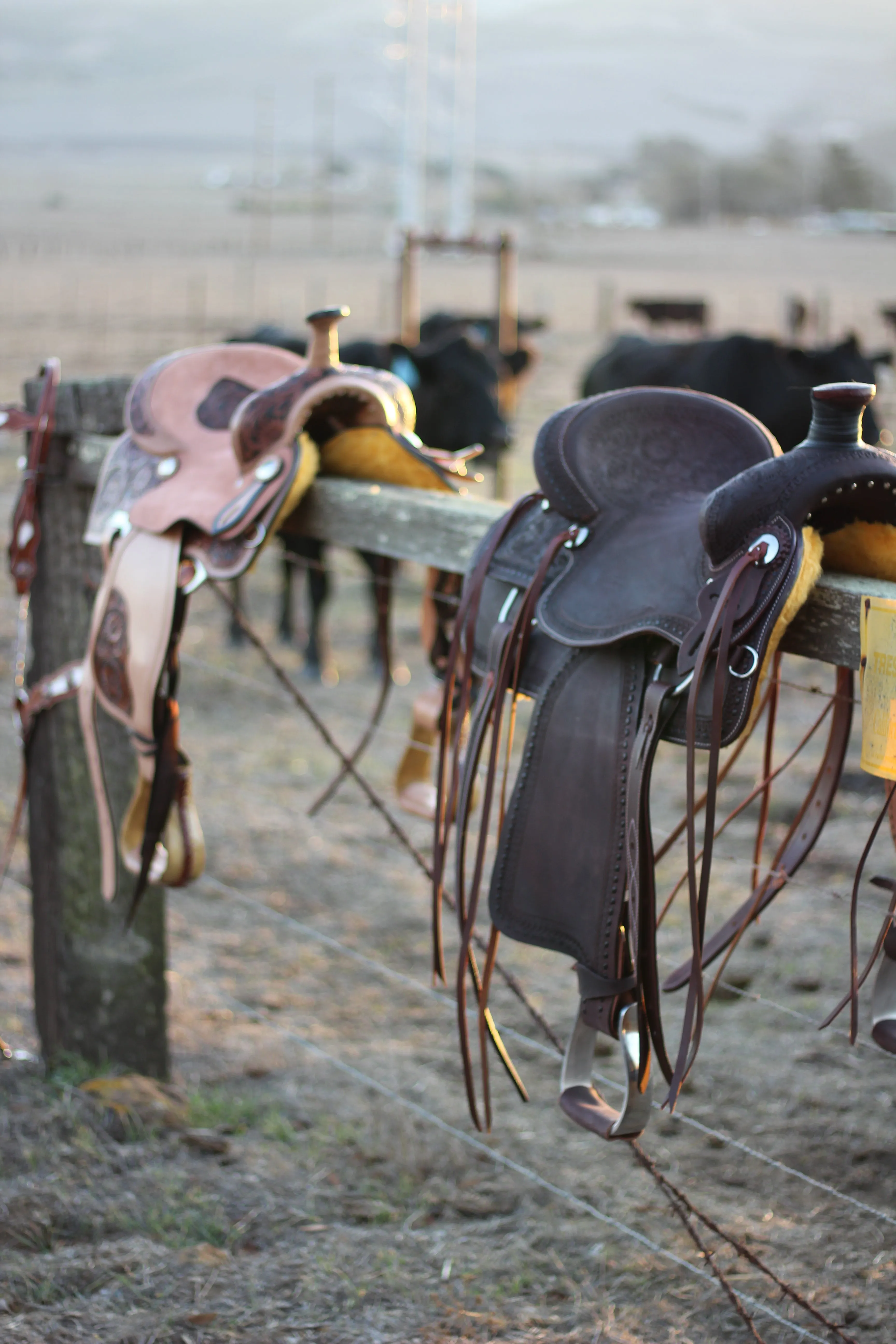 13" Cash Saddle