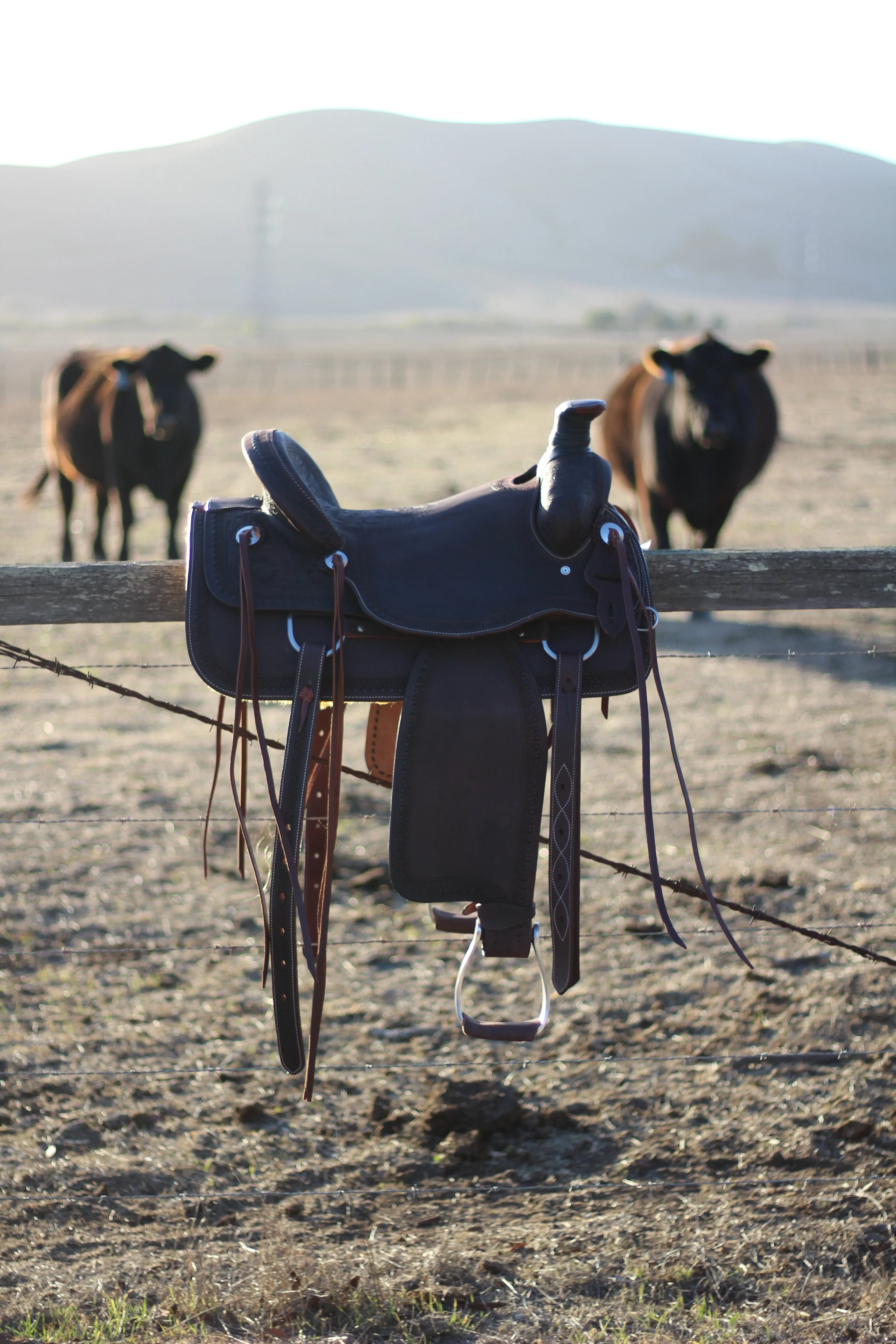 13" Cash Saddle