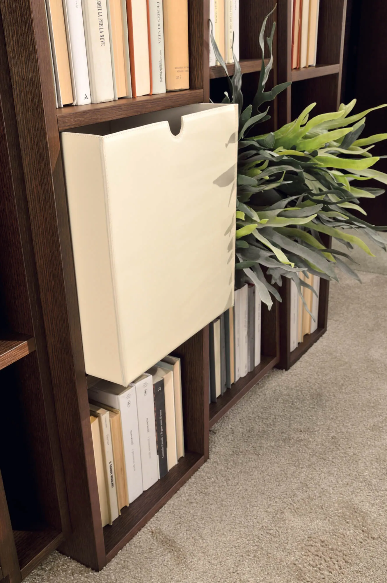Beat Bookcase