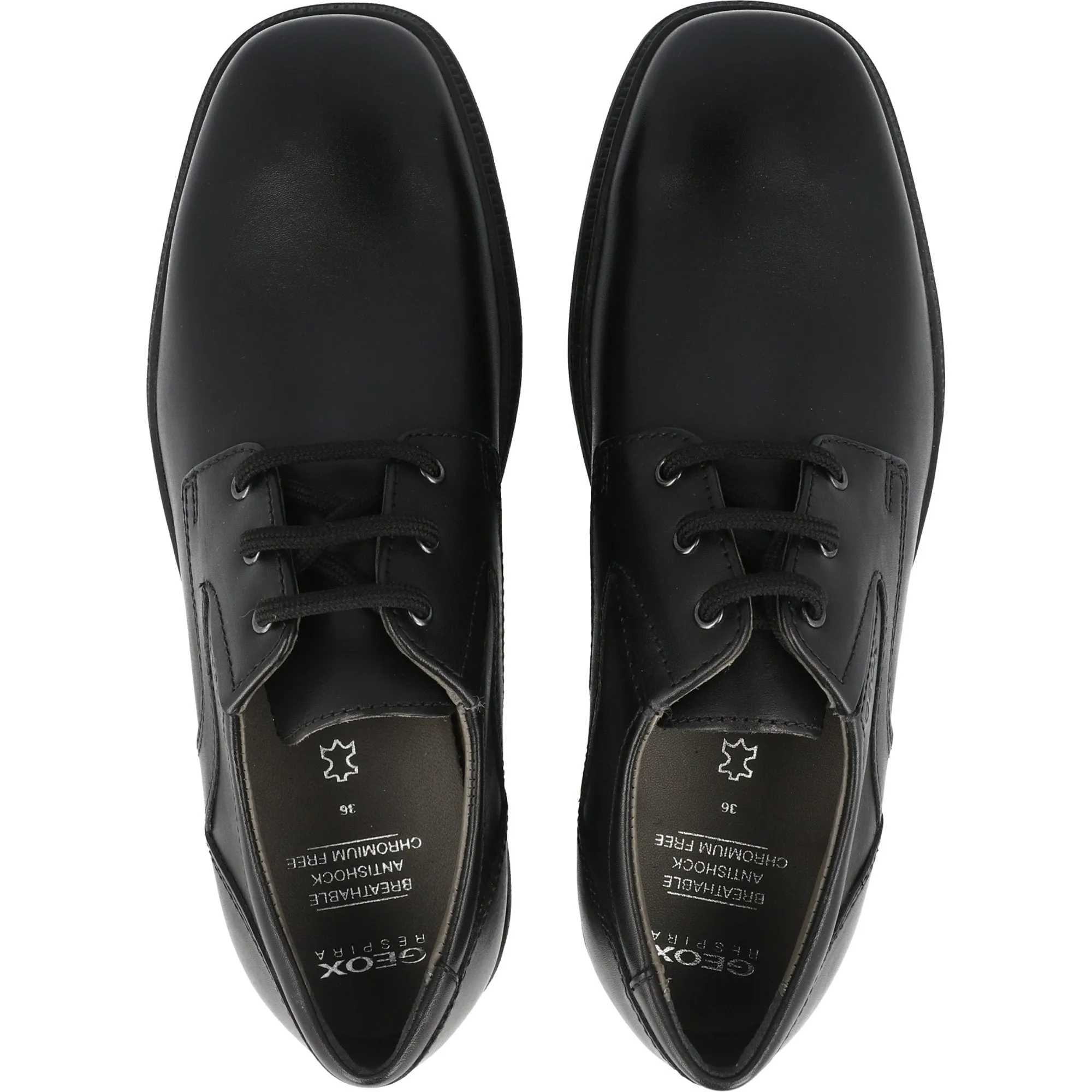 Geox Federico Black Boys School Shoes