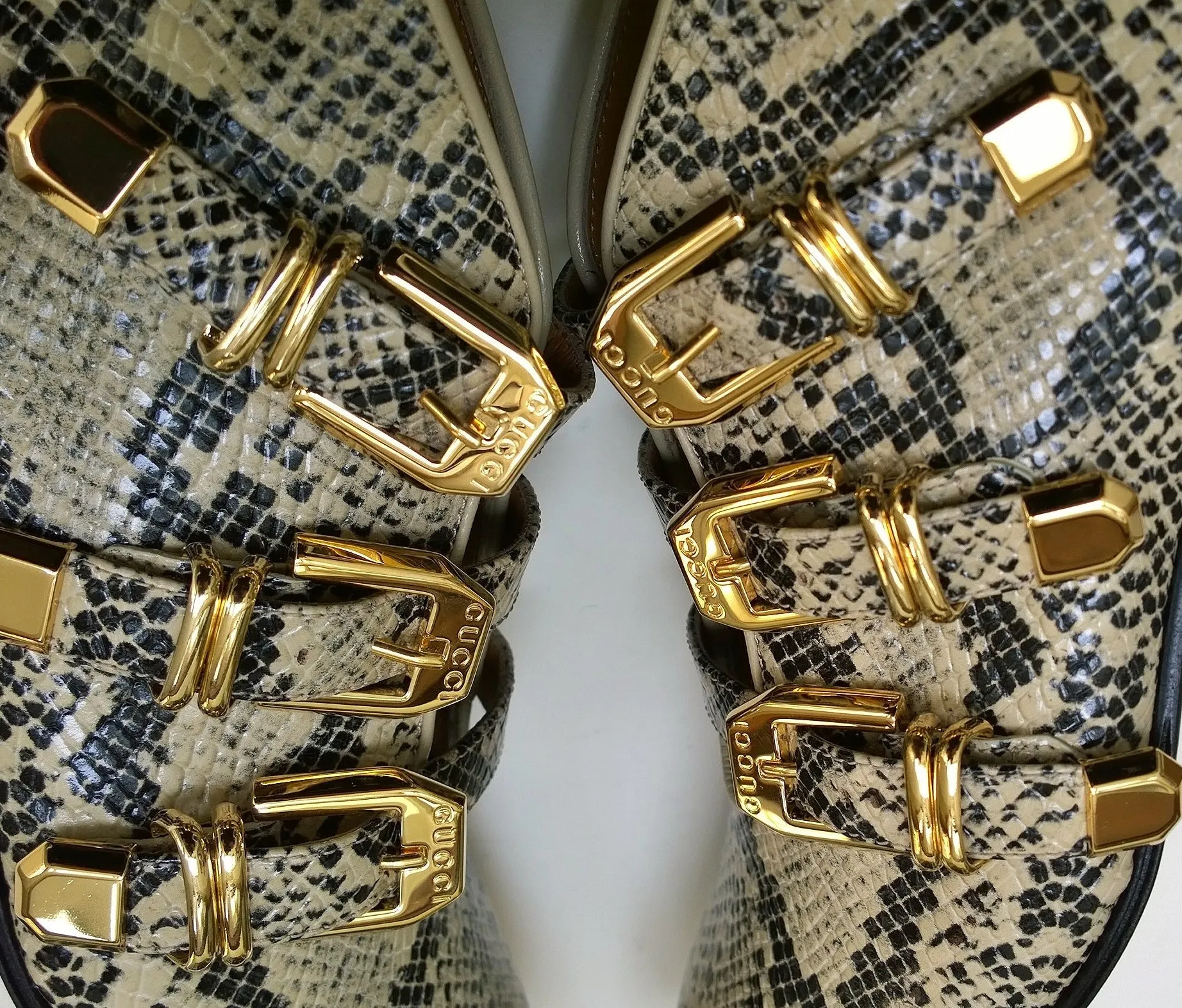 Gucci Python Print Leather Ankle Boots with Gold Logo Buckles Shoes Avana