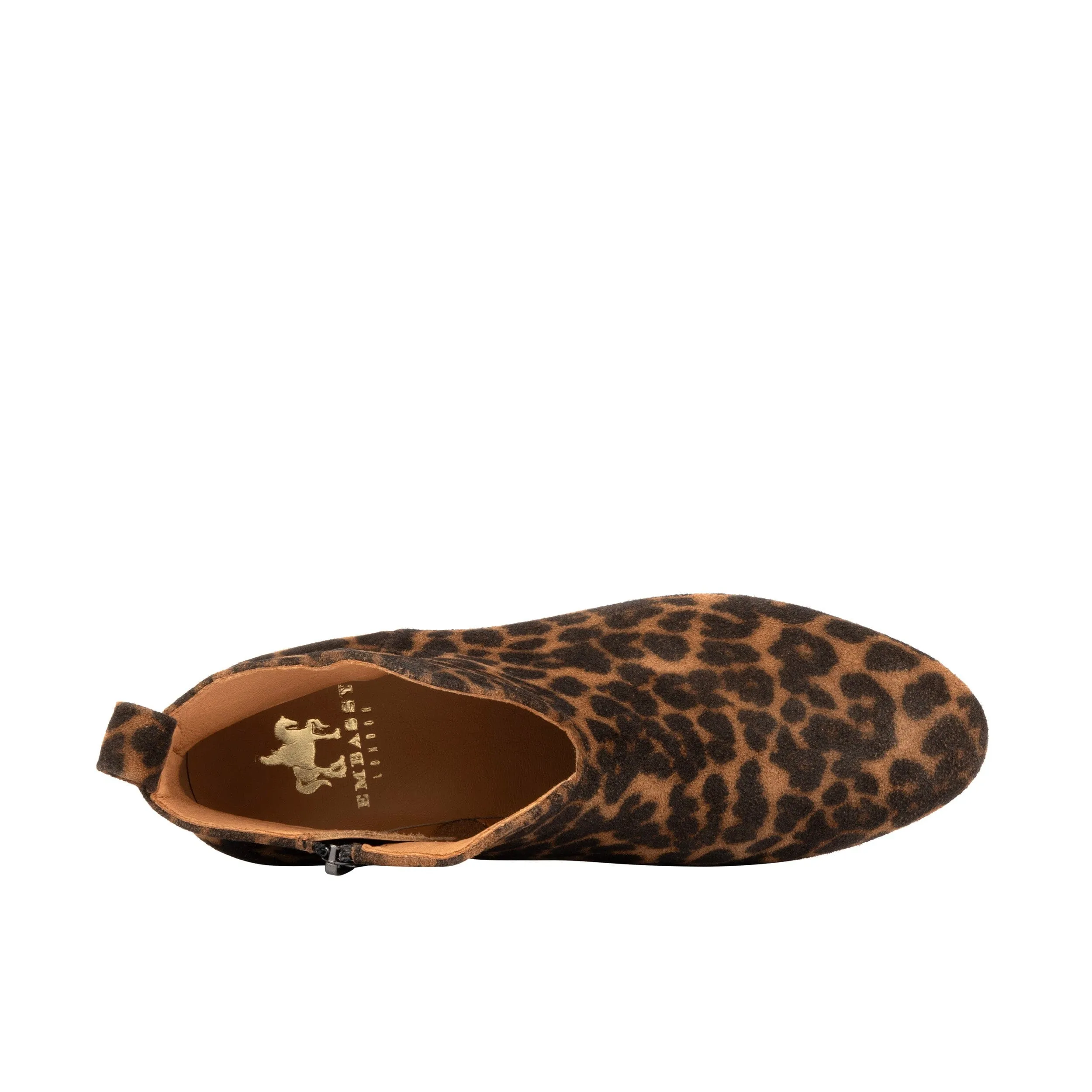 Iris - Leopard