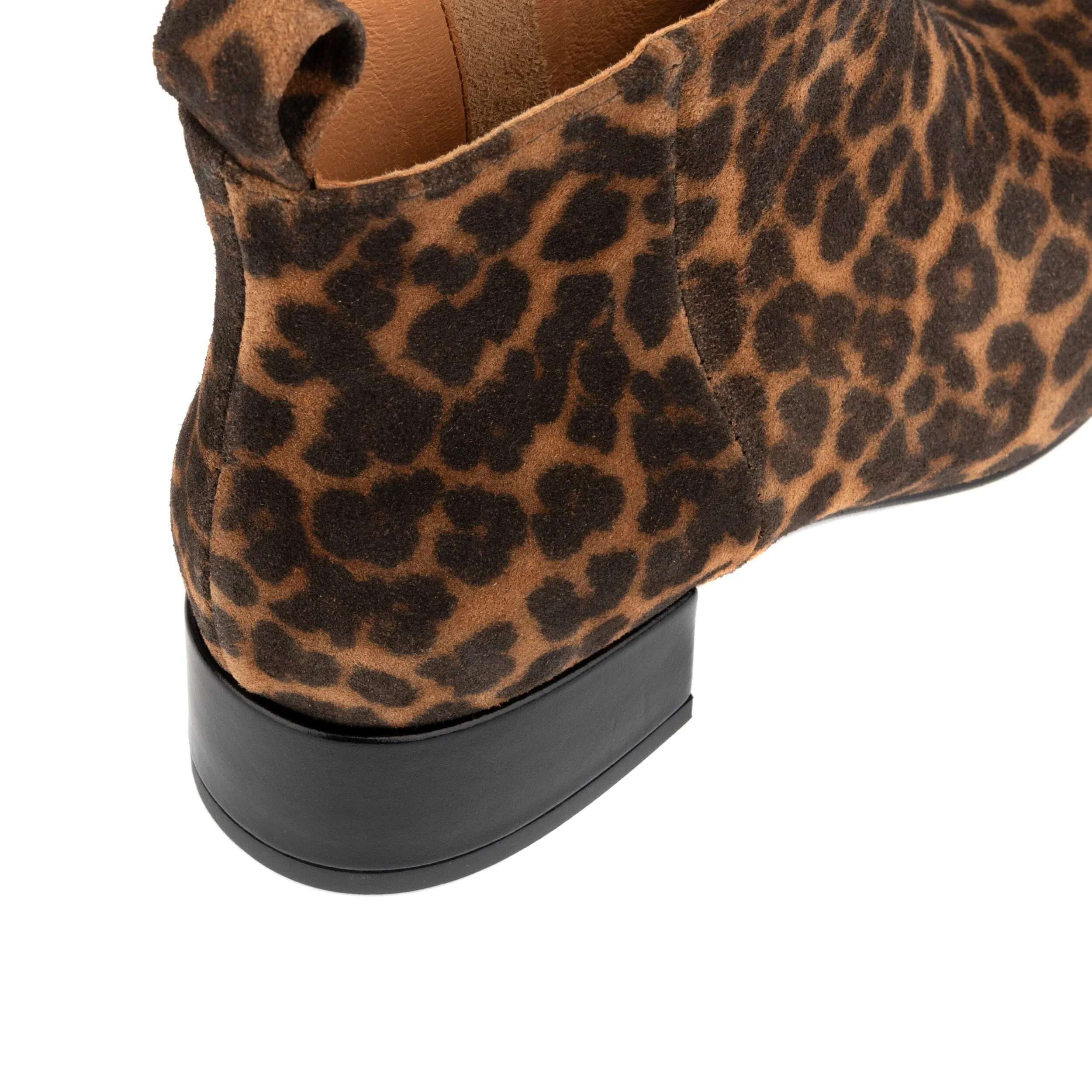 Iris - Leopard