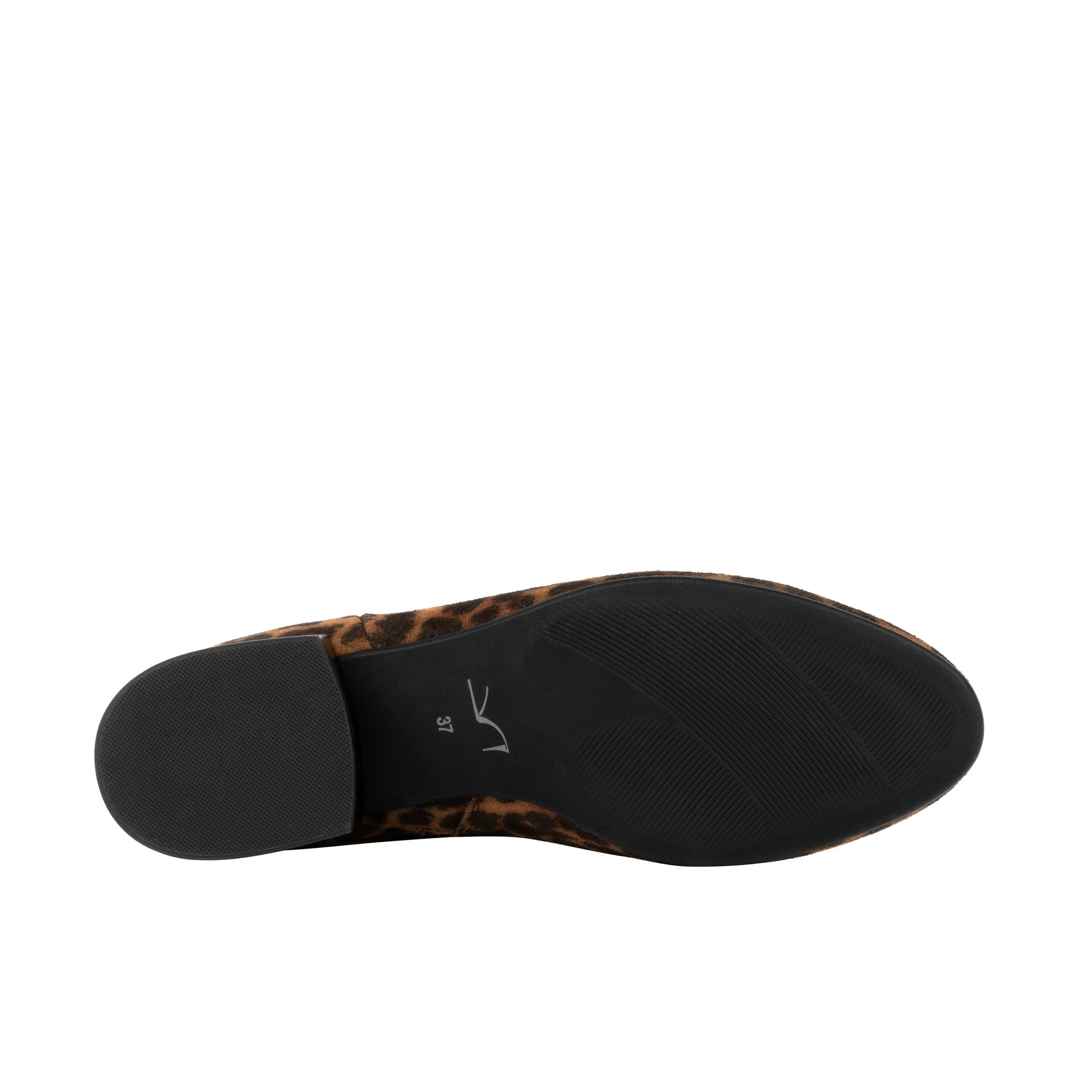 Iris - Leopard