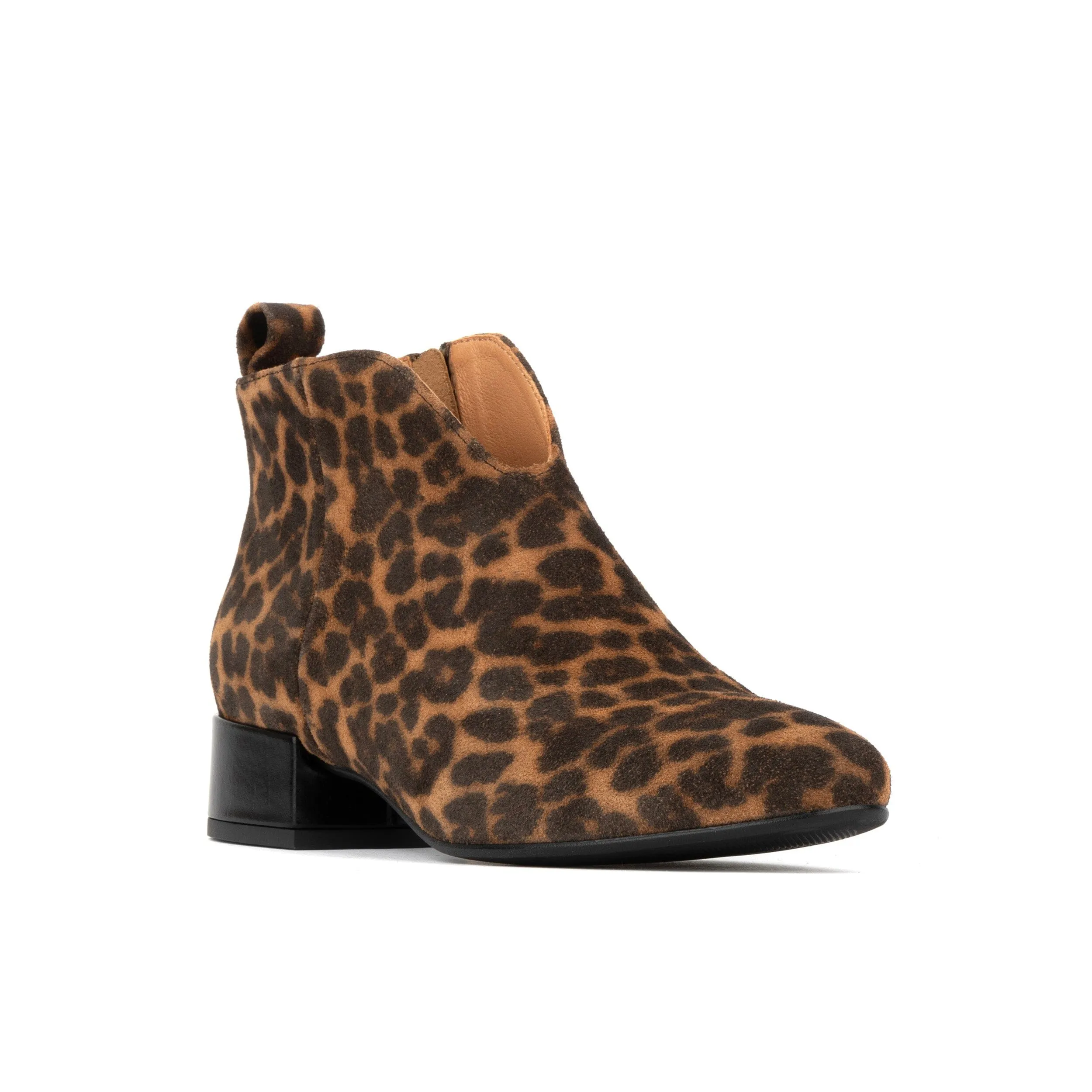 Iris - Leopard