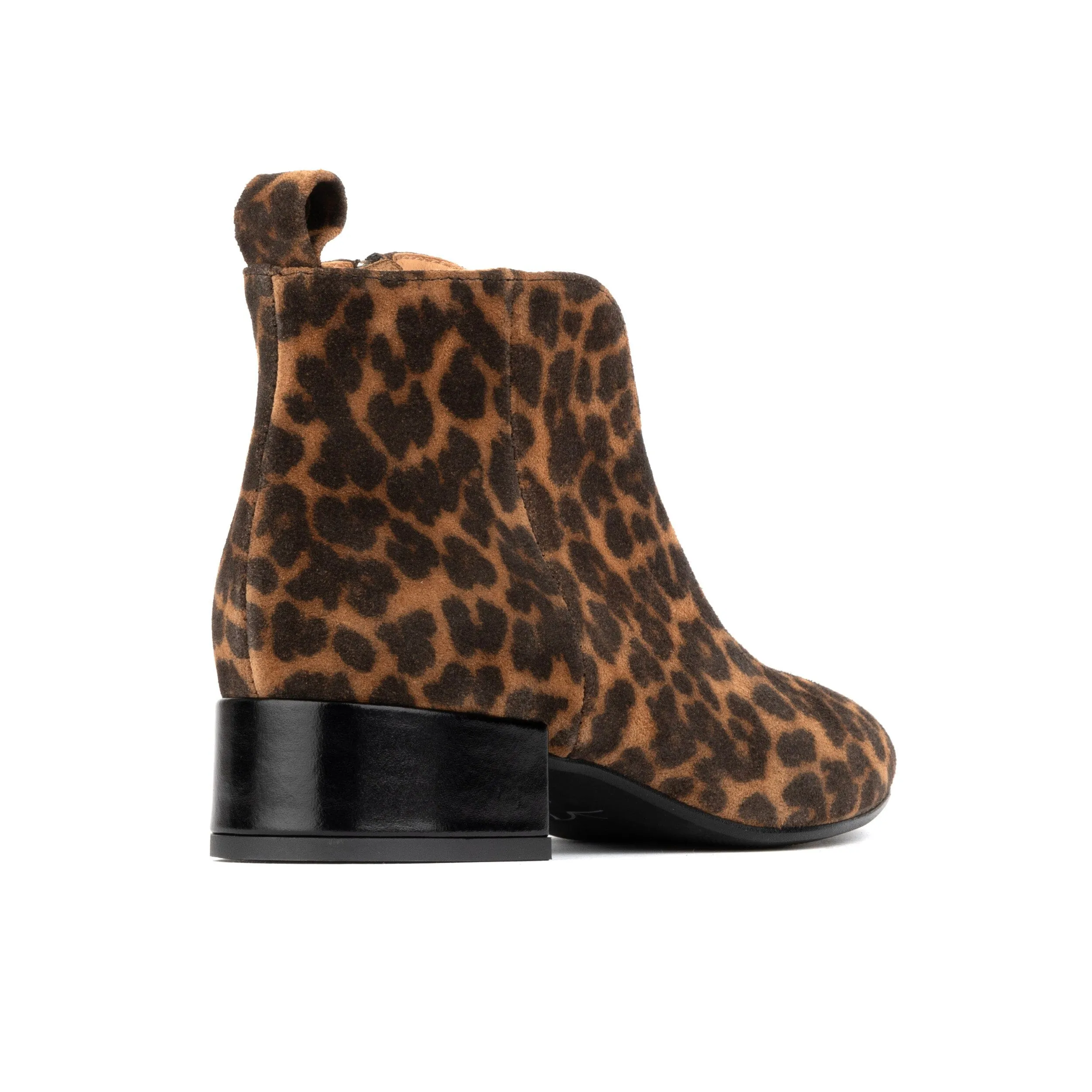Iris - Leopard