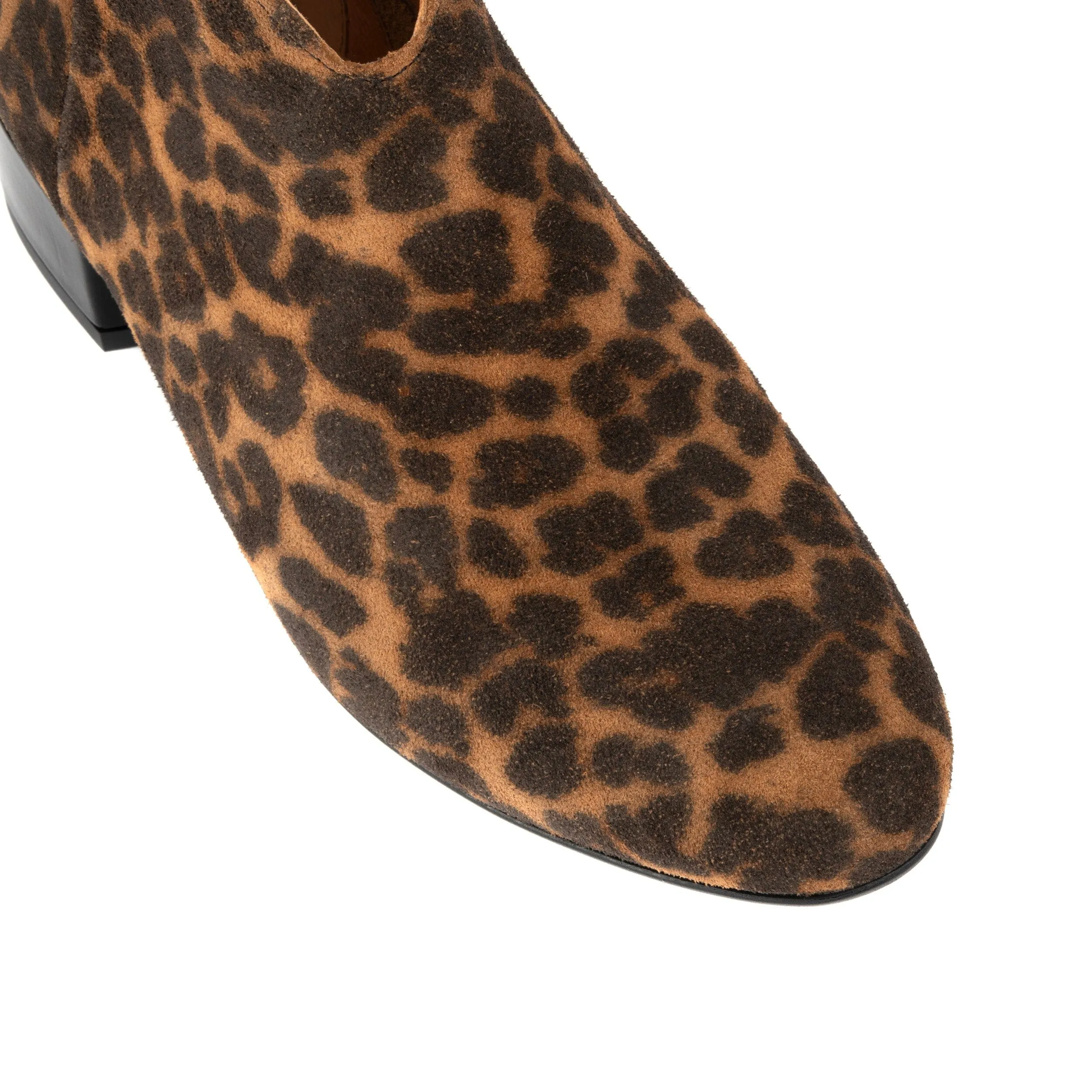 Iris - Leopard