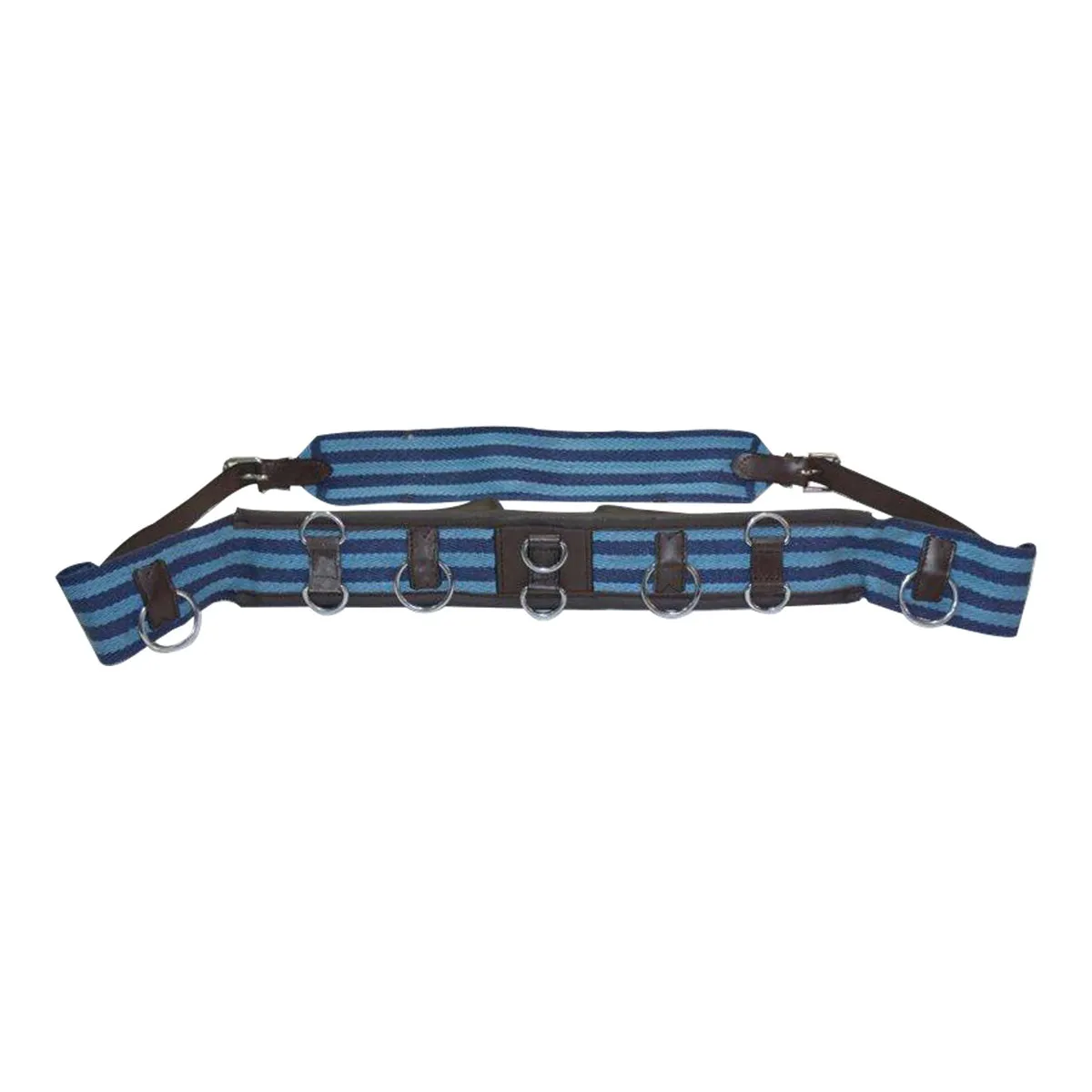 Lunge Roller Webbing