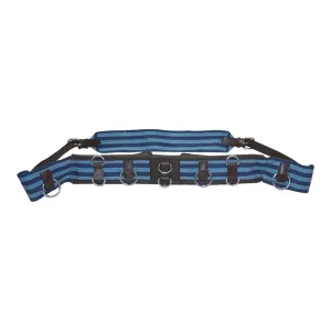 Lunge Roller Webbing