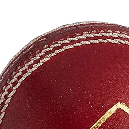 SG Leather Cricket Ball, Adult, (Red)