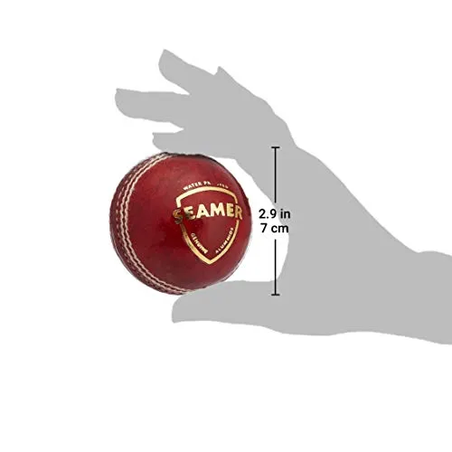 SG Leather Cricket Ball, Adult, (Red)