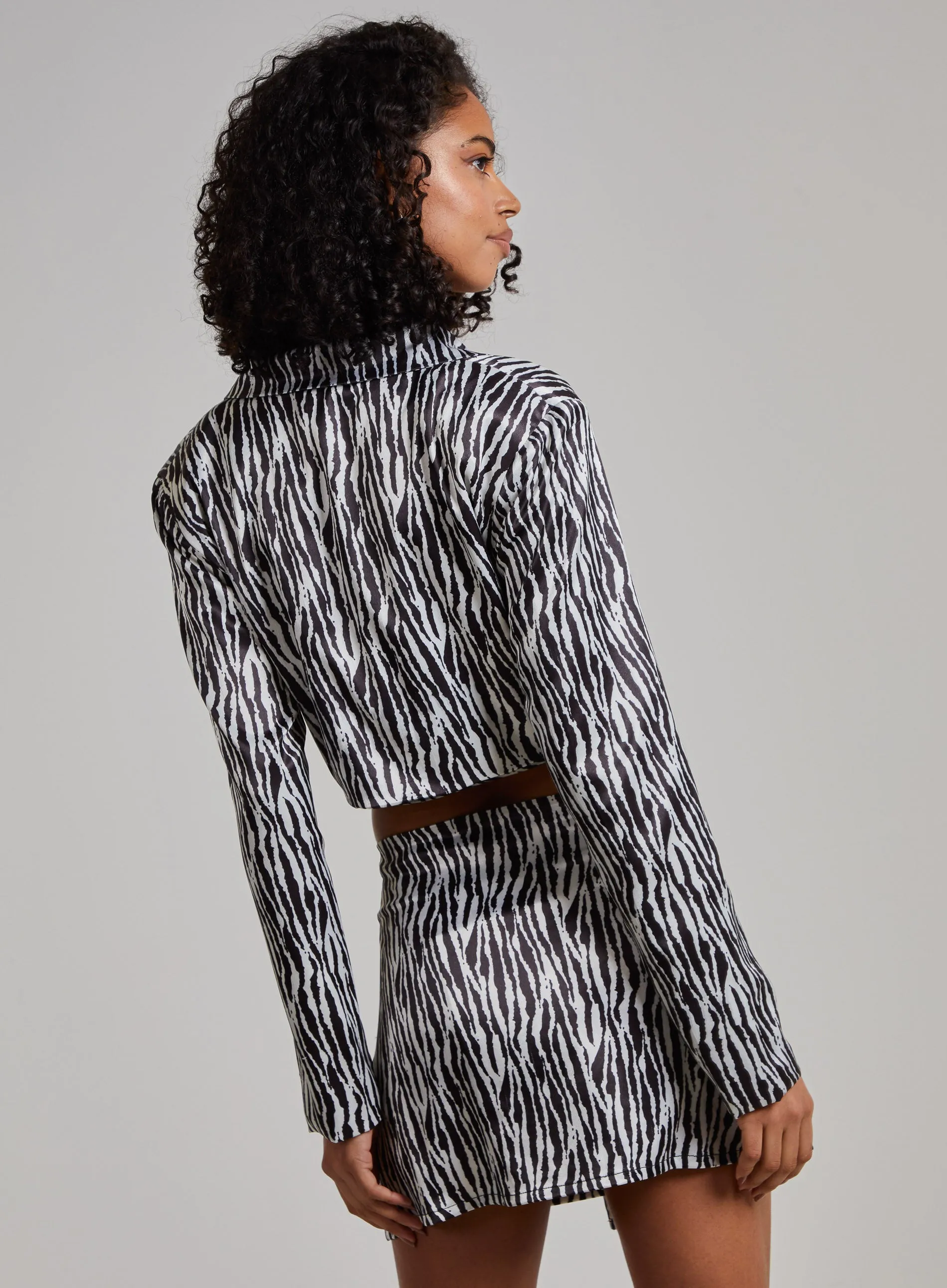 Tie Waist Satin Zebra Crop Top