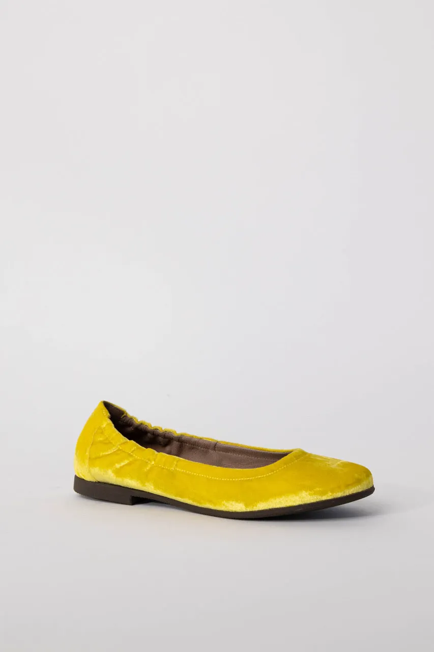 Velvet Ballerina Flats
