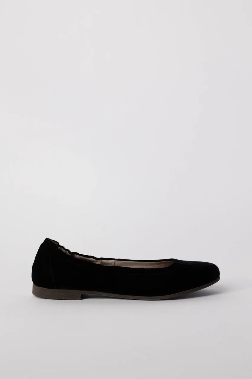 Velvet Ballerina Flats