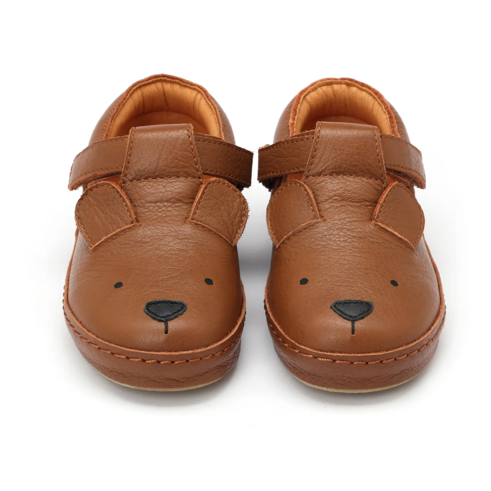 Xan Classic | Bear